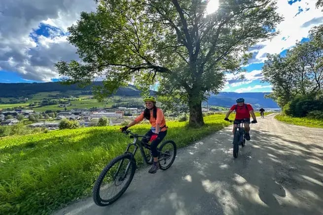 Combo mtb store